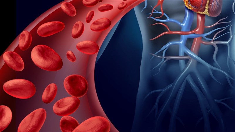 Giảm tiểu cầu miễn dịch ở trẻ em